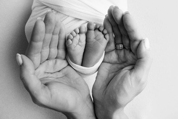 Childrens legs in the hands of mother, father, parents. Feet of a tiny newborn close up. Mom and her child. Happy family concept. Beautiful concept image of motherhood stock photo. - Фото, зображення