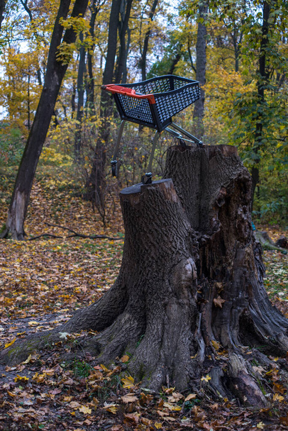 Een monument voor het winkelwagentje staat op een omgevallen boom in het park. - Foto, afbeelding