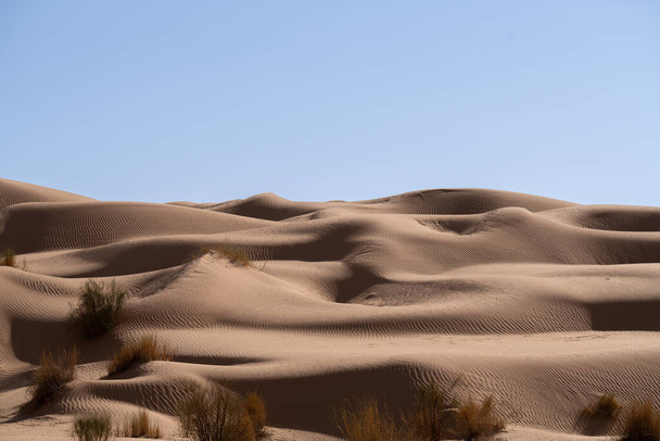 Vistas del desierto, región de Douz, sur de Túnez - Foto, Imagen