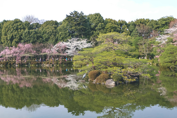 10 Huhtikuu 2012 Kioto, Japani Heian Shrine lammessa kevätkaudella. - Valokuva, kuva