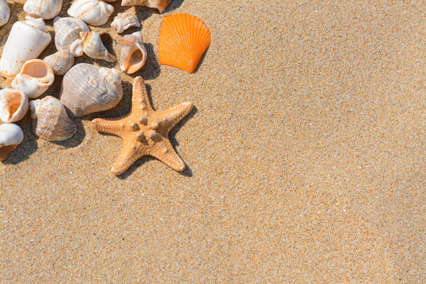 Beautiful starfish and sea shells on sandy beach, flat lay. Space for text - Фото, изображение