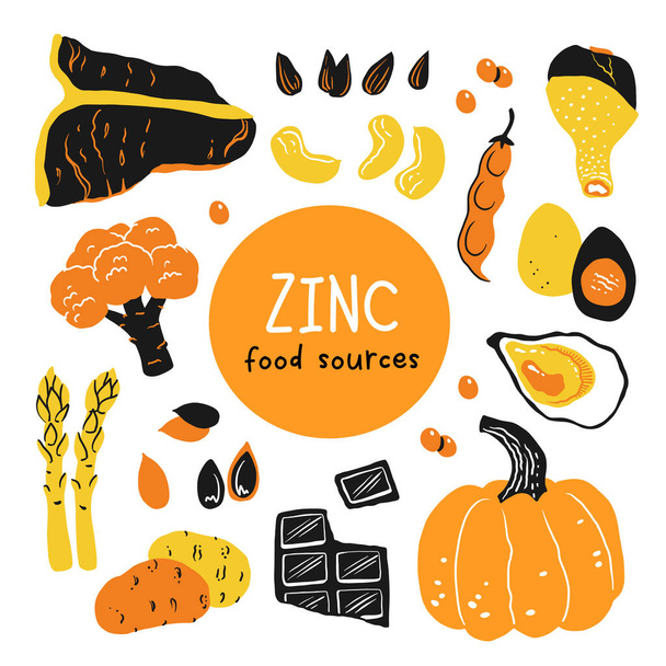 Zinc food sources vector stock illustration. Food products with a high content of zinc. Oysters, pumpkin seeds, sunflower seeds, eggs, asparagus, beef, chicken, cashew nuts. Information poster. - Vector, Image