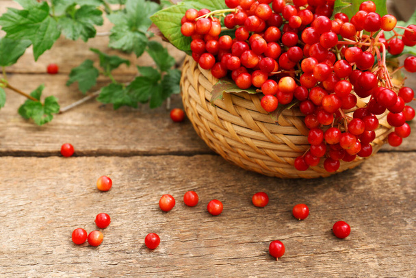 Basket of ripe viburnum berries on wooden table - Фото, зображення