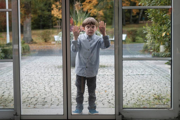 Child squeezes nose and hands on glass panel, Germany, Europe - Fotografie, Obrázek