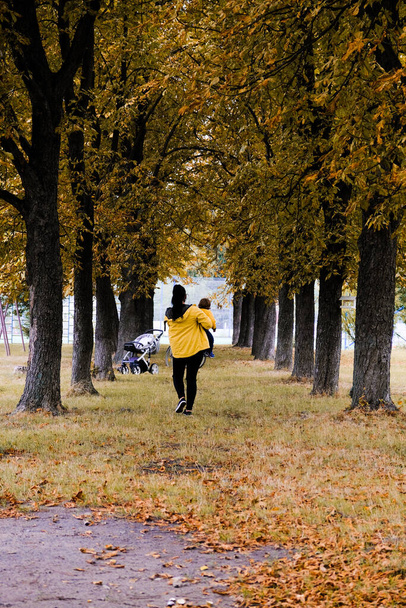 赤ちゃんのいるお母さんが秋の天気で公園を歩いています。子供のためのスライド。子供たちの笑い、新鮮な空気の中を歩く - 写真・画像
