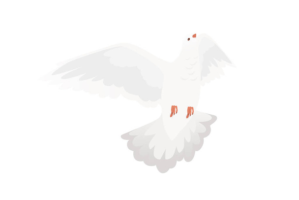 Witte duif duif vogel symbool van vrede vector illustratie cartoon dier ontwerp geïsoleerd op witte achtergrond. - Vector, afbeelding