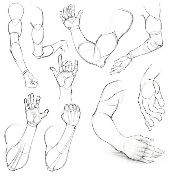 Dibujo a lápiz de manos humanas en escorzos y rotaciones. Tutorial para artistas. Dibujo anatómico. - Foto, imagen