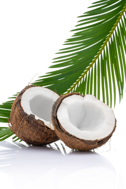 Coconut with leaves on white background - Foto, afbeelding