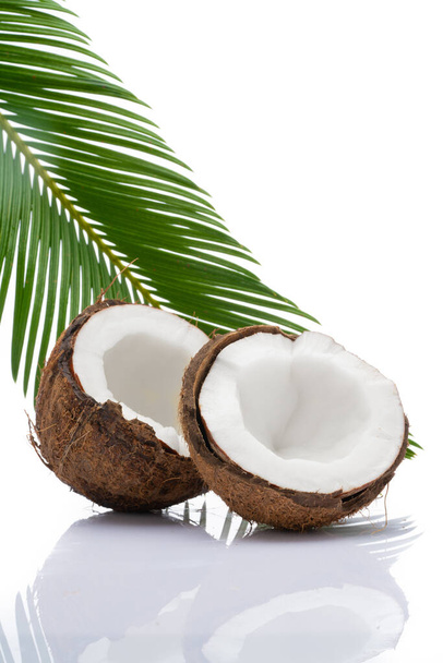 Coconut with leaves on white background - Fotografie, Obrázek