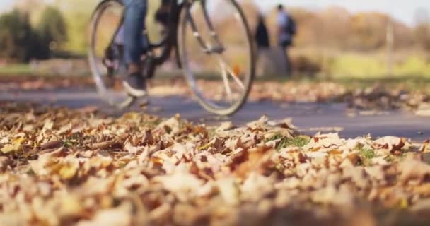 Vista de cerca de ciclistas montando en un carril bici en un parque de la ciudad. Bajo ángulo de cámara lenta siguiente disparo con hojas de otoño de oro. - Imágenes, Vídeo