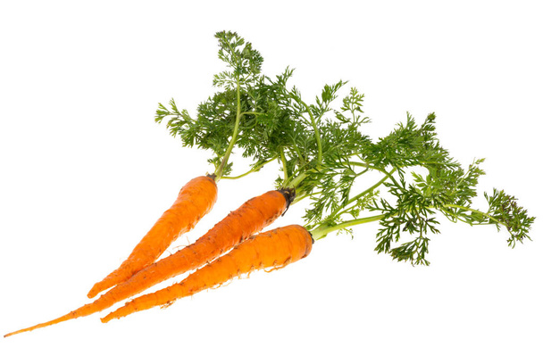 Морква з листям ізольовані на білому тлі
 - Фото, зображення