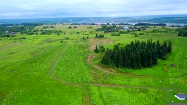 Aerial view of the green grass meadow with pine trees. Clip. Flying above endless valley of summer trees and field - Footage, Video