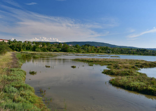 Το φυσικό καταφύγιο του κόλπου Skocjan εκτείνεται στα σύνορα μεταξύ της πόλης και της υπαίθρου Koper. Αυτοί είναι οι μεγαλύτεροι ημι-αλατούχοι υγρότοποι στη Σλοβενία. - Φωτογραφία, εικόνα