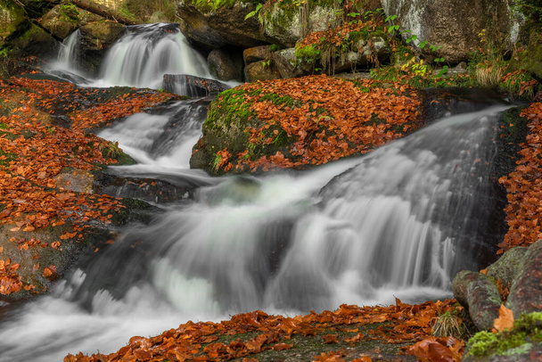 Cerna Desna Bach im Isergebirge im Herbst Farbe frischen Morgen - Foto, Bild