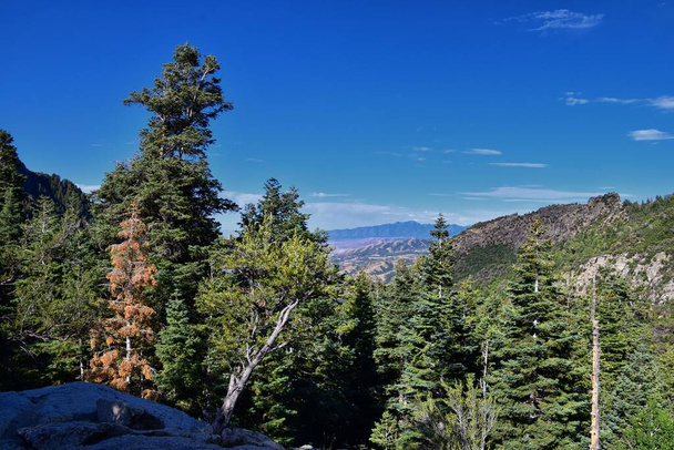 Vistas de Horsetail Falls desde el sendero de senderismo en Dry Creek Canyon, Lone Peak Wilderness, a lo largo de las Montañas Rocosas Frente a la Lavandera, Utah Alpino. Estados Unidos. - Foto, imagen