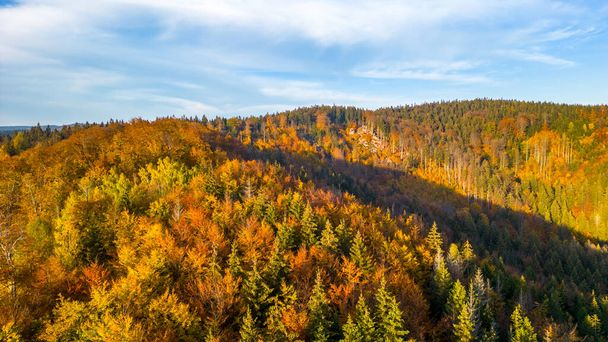Colourful autumn forest of Jizera Mountains. Aerial view from drone. - Foto, Bild