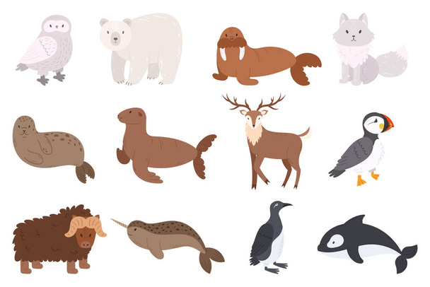 Sada arktických zvířat sova, lední medvěd, mrož, arktická liška a tuleň nebo mořský lev. Sobi, atlantický puffin nebo mořský papoušek a tučňáci, buvoli, narvalové, velrybí karikatura ilustrace - Vektor, obrázek