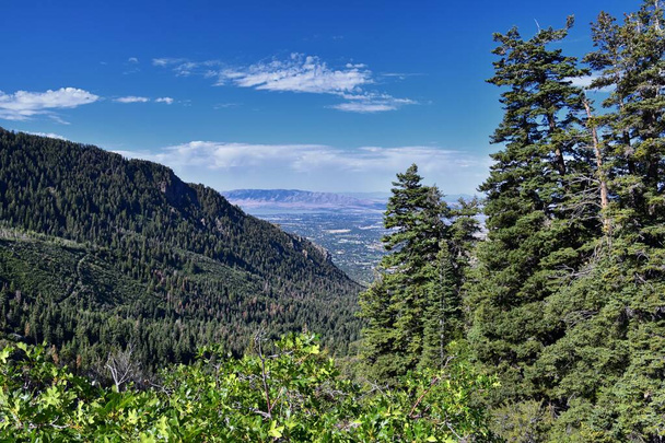 Horsetail Falls vista do vale a partir de trilhas de mochila em Dry Creek Canyon, Lone Peak Wilderness, ao longo das Montanhas Rochosas da Frente Wasatch, no Utah Alpino. Estados Unidos. - Foto, Imagem