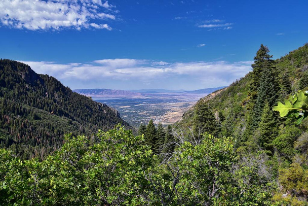 Blick auf das Ackerschachtelhalmfalltal von den Wanderwegen im Dry Creek Canyon, Lone Peak Wilderness, entlang der Wasatch Front Rocky Mountains, Alpine Utah. USA. - Foto, Bild