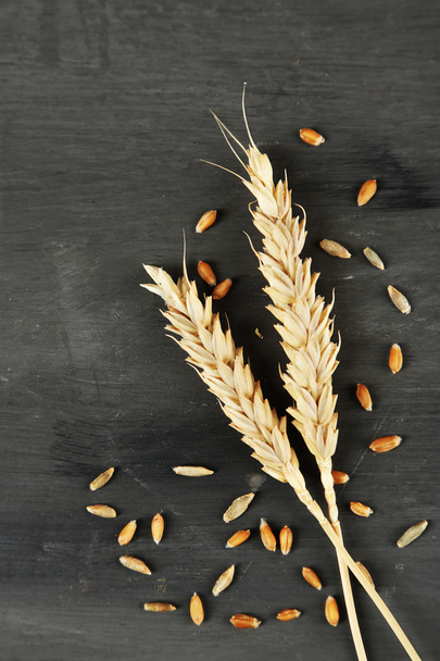 Spikelets and grains of wheat on dark wooden background - Fotografie, Obrázek