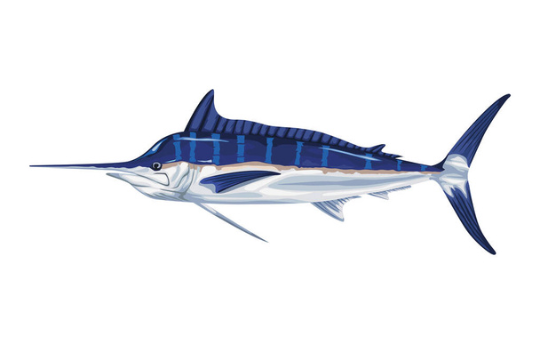 marlin marine life animal icon - Vector, Image