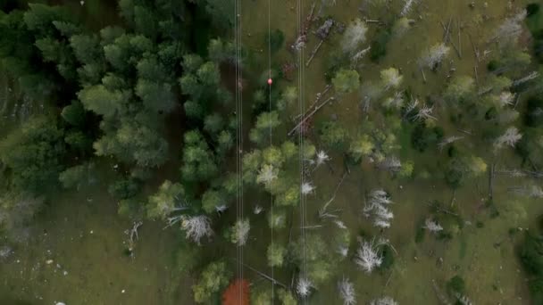 Top Kable kolejki linowej z lotu ptaka nad zielonym lasem w Andorze, w środku Pirenejów, w Andorze. Wysokiej jakości materiał 4k - Materiał filmowy, wideo