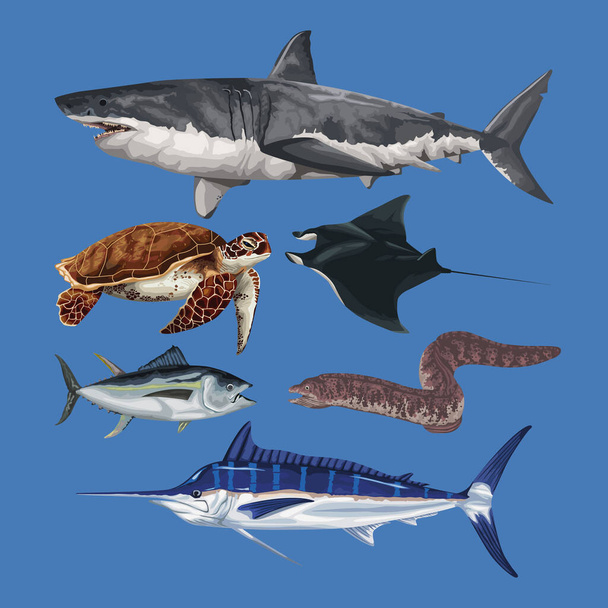 шість іконок морського життя тварин
 - Вектор, зображення