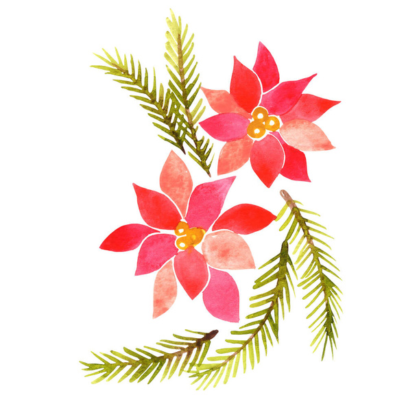 Christmas flower and pine leaves watercolor illustration for decoration on Christmas holiday event. - Fotoğraf, Görsel