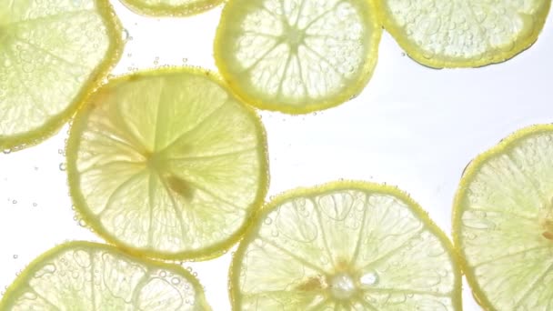Sappige citroenschijfjes met bubbels onder water geïsoleerd op witte achtergrond. Gele limoen plakken patroon gestructureerde achtergrond. - Video