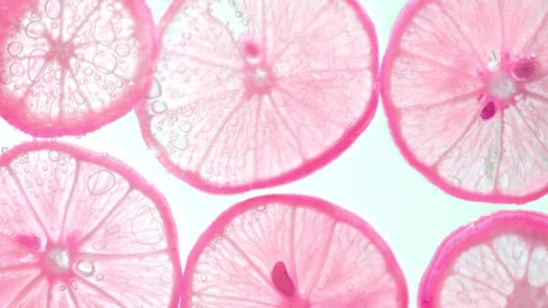 Jugosas rodajas de limón con burbujas bajo el agua aisladas sobre fondo blanco. Patrón de rodajas de lima rosa fondo texturizado. - Metraje, vídeo