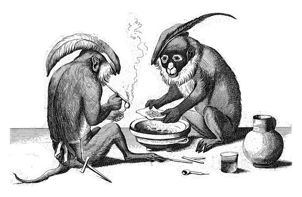 Deux singes sont assis par terre, l'un fait sauter sa pipe. L'autre singe fait sécher du tabac sur un brasero.. - Photo, image