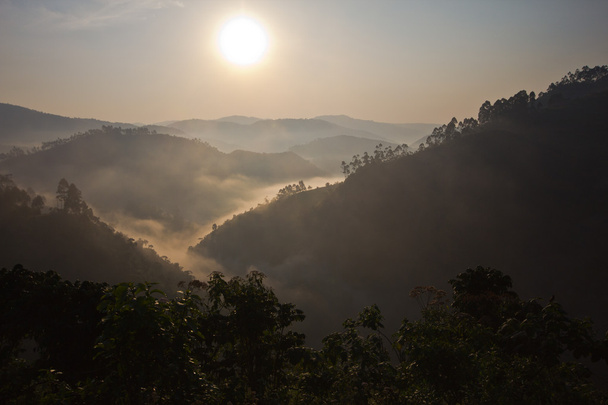 Napkelte felett Bwindi - Fotó, kép