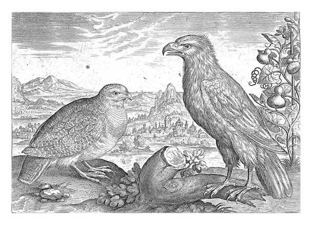 Μια πέρδικα και ένας αετός σε ένα τοπίο. Η εκτύπωση είναι μέρος μιας σειράς με θέμα τα πουλιά. - Φωτογραφία, εικόνα