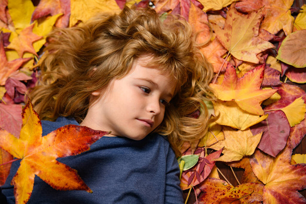 Child portrait close up, kid lying in autumn leaves. Autumn Child portrait in fall yellow leaves. Little kid boy play with maple leaf in autumnal park outdoor. October season, romantic kids dream - Foto, afbeelding