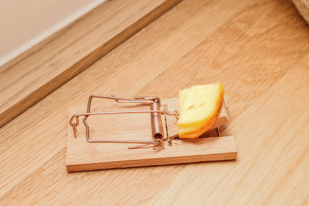 Mousetrap with cheese on floor in room - Photo, Image