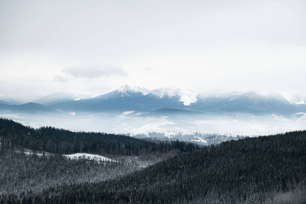 maisema näkymä talvella ukrainalainen karpaattien vuoret bukovel - Valokuva, kuva