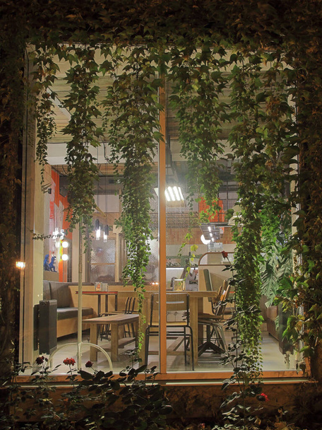 A foto foi tirada no jardim da cidade da cidade de Odessa. a imagem mostra uma janela de café coberto com uvas selvagens à noite. - Foto, Imagem