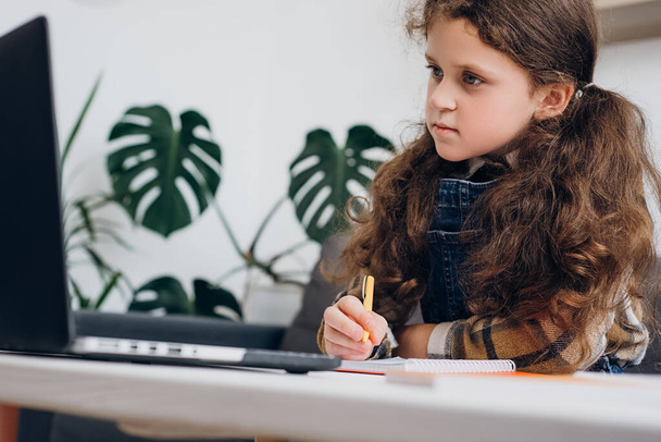 Distance education concept. Close up of cute little girl child writing notes study with laptop and books, serious small kid doing school tasks sit on couch at home, writing notes, listening to lecture - Photo, Image