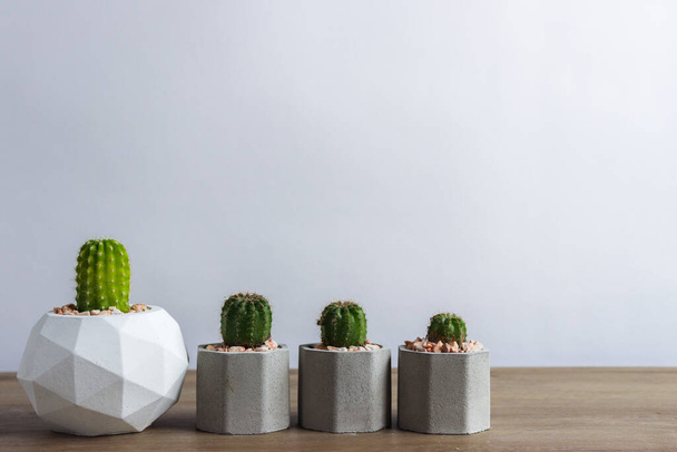 set of various cactus plants in pots. Cactus plant in different pot and view on  table during gardening nursery cactus with space for you brand or logo - Foto, immagini