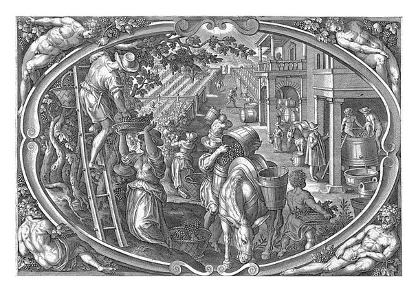 In the center of a cartouche an image of the grape harvest. In the foreground grapes are picked and taken away. In the background, they are crushed into grape juice and poured into barrels. - Photo, Image