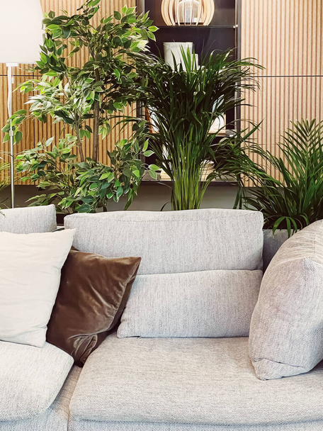 Lakberendezés és belsőépítészet, modern kanapé párnákkal a nappaliban vagy az irodában, zöld házi növényekkel, bútorokkal és dekorációval részletek - Fotó, kép