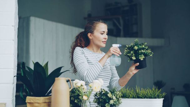 Cheerful housewife is watering green plants using sprayer holding flowerpots and smiling standing in beautiful light apartment. Housework, people and botany concept. - Photo, image
