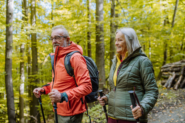 Happy senior couple hiking in autumn nature. - Фото, изображение