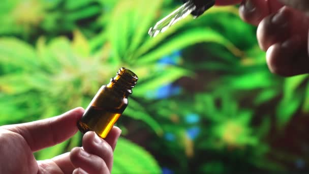 Closeup hand vasthouden fles olieachtige cannabis en het gebruik van druppelaar meten druppels als ze vallen in container. Legalisering van cannabisproducten van hennepblad tot CBD-olie voor medisch gebruik. - Video