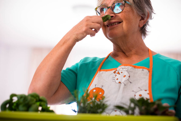 ηλικιωμένη γυναίκα που μυρίζει ένα φυτό στο σπίτι - γυναίκα συνταξιούχος και ώριμη με γυαλιά εξωτερικού χώρου που ελέγχει το προϊόν ή τα φυτά της - καυκάσια γυναίκα που φυτεύει  - Φωτογραφία, εικόνα