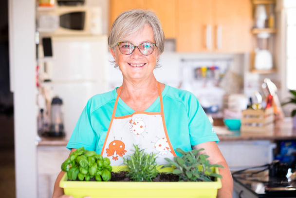 ηλικιωμένη γυναίκα που φυτεύει ένα φυτό στο σπίτι - γυναίκα συνταξιούχος και ώριμη με γυαλιά εξωτερικού χώρου που ελέγχει το προϊόν ή τα φυτά της - καυκάσια γυναίκα   - Φωτογραφία, εικόνα