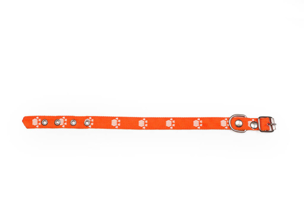 Fotokopi alanı olan beyaz arkaplanda turuncu köpek tasması - Fotoğraf, Görsel