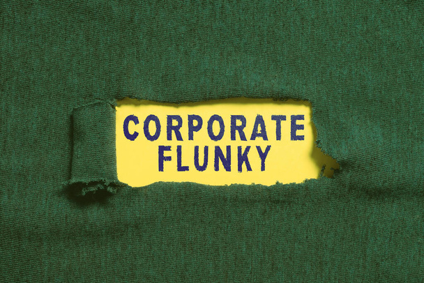 Käsin kirjoittaminen merkki Corporate Flunky, Business näyteikkuna tutkii kilpailijoiden saada liiketoimintaetu Abstract Konekirjoittaja Harjoitellaan nopeus Kirjoittaminen, Ohjelmoija Virheenkorjaus Koodit - Valokuva, kuva