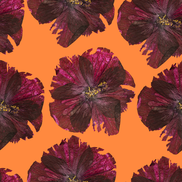 Modèle sans couture de fleurs d'Hibiscus sur fond orange. Art minimaliste pour l'impression sur tissu ou papier d'emballage. Vue du dessus - Photo, image