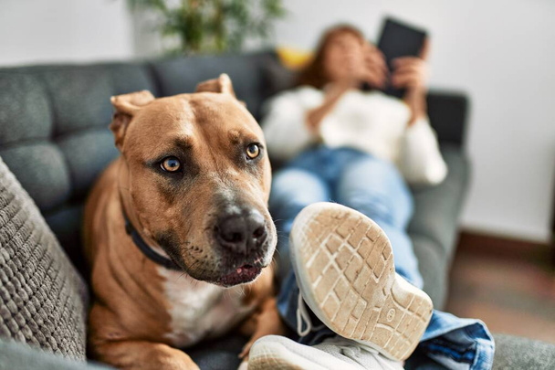 Young caucasian woman using touchpad lying on sofa with dog at home - Fotoğraf, Görsel